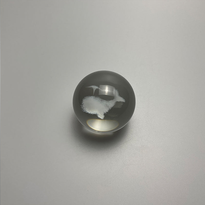 product_alt_0801