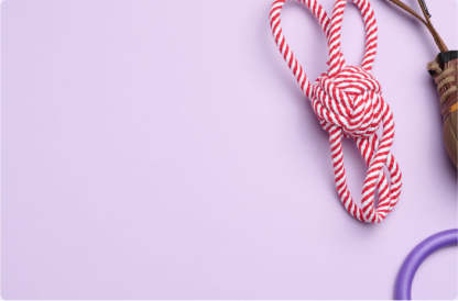 i can see your's new car+++1